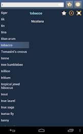 English Multiple Languages poster 9