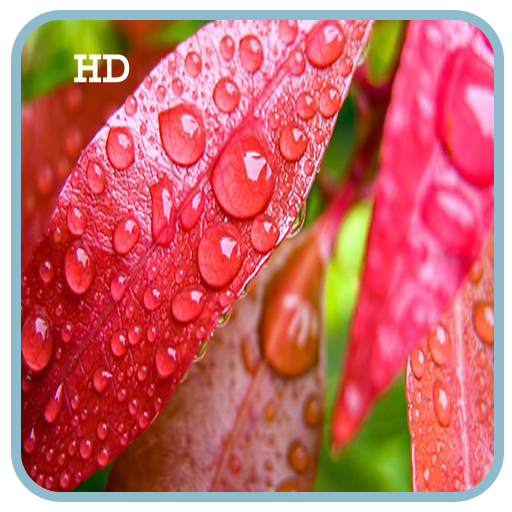S6 Rain Drop HD LiveWallpaper 攝影 App LOGO-APP開箱王