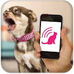 Dog Teaser Apk