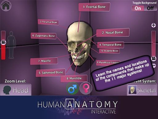 PlayAR Human Anatomy Chart