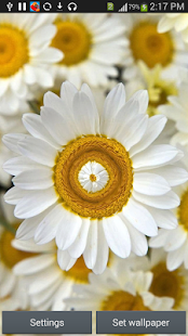 Download S6 Daisy Flower LiveWallpaper APK