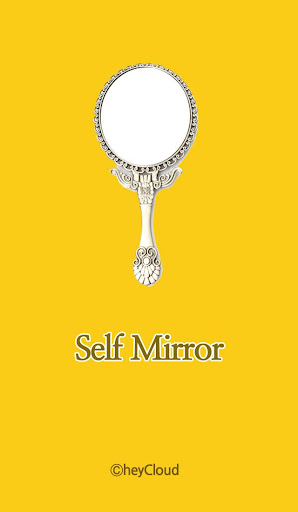 self mirror smart mirror