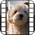 Puppies Free Homescreen