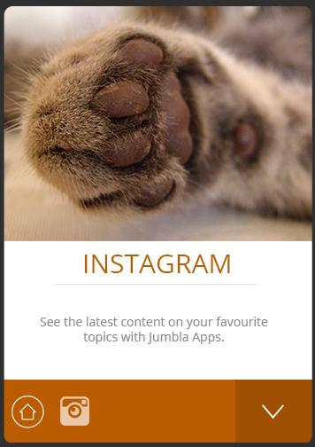 免費下載新聞APP|Ocicat Cats Jumbla app開箱文|APP開箱王
