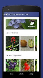 Free Download Früchte bestimmen 2 LITE APK for PC