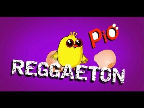 Pollito Pio Reggaeton