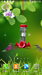 Hummingbirds wallpaper(圖1)-速報App