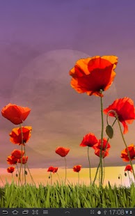 How to install Poppy Field Live Wallpaper lastet apk for android