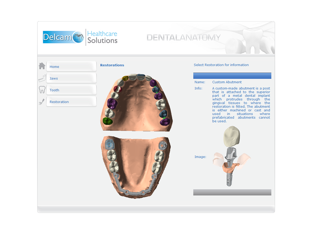    Dental Anatomy- screenshot  