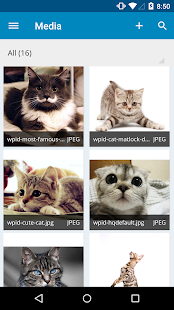 WordPress - screenshot thumbnail