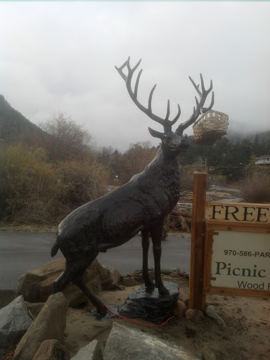 Picnic Elk