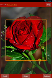 Best Greeting Cards HD(圖7)-速報App