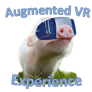 Augmented VR Experience