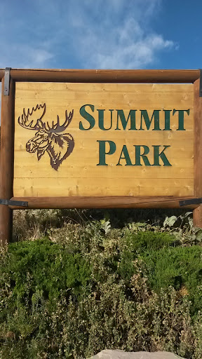 Summit Park Moose