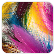 Feather Live Wallpaper  Icon
