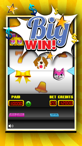 Miss Pussy Cat Surf Slots Pro