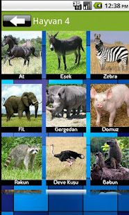 Animal Sound - Apps on Google Play