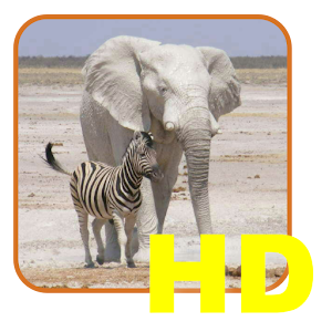 Safari List HD - South Africa
