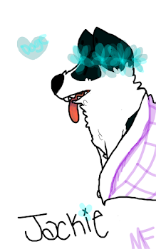 doge