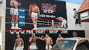 Pro Fight Shop Mural