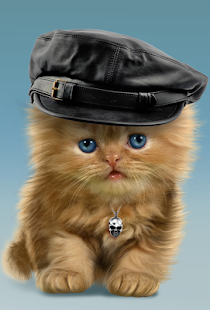 How to mod Baby Cat, Cute Live Wallpaper 2.0.1 mod apk for pc