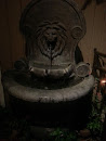 Lion Fountain