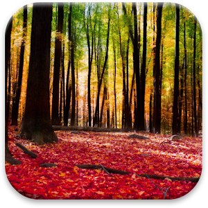 Autumn Landscape Wallpaper 個人化 App LOGO-APP開箱王