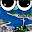 Frogs Fly in Rio Download on Windows