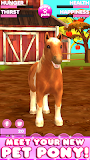 Virtual Pet Pony