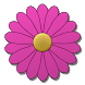 Bloom: DOD