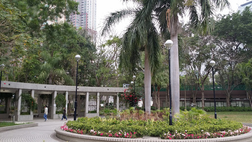 Tin Shui Wai Park Palm Tree Sitting Area