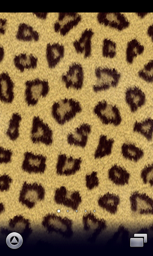 leopard Wallpaper ver57