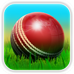 Cricket 3D Apk