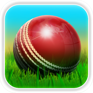 Cricket 3D for PC and MAC