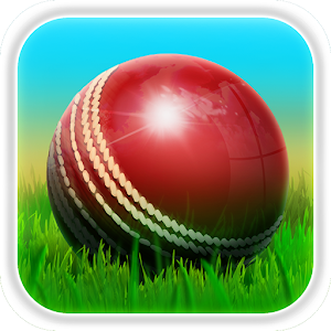 Cricket 3D.apk 1.5