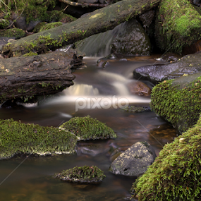 Stream by Mike Hawkwind - Novices Only Landscapes