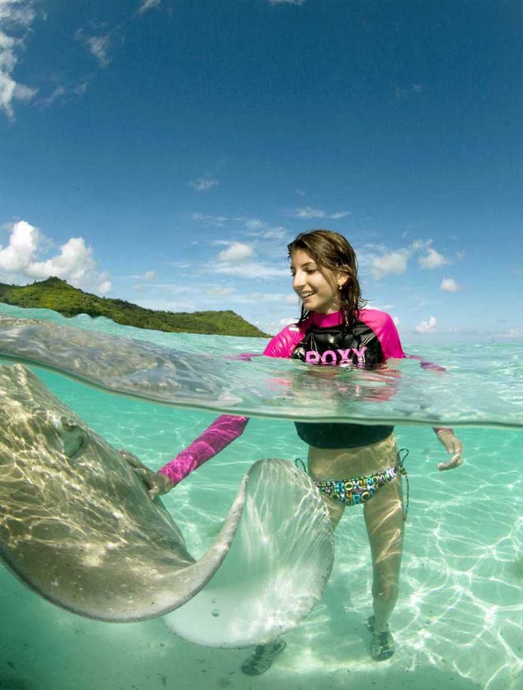 A girl strokes a stingray — they're safe — in the warm Bora Bora waters.