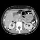 iAnatomy icon