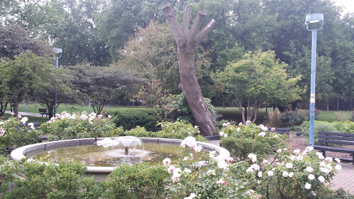 Nichols Park Fountain 