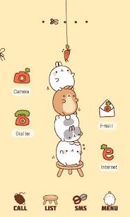 CUKI Theme Carrot Molang