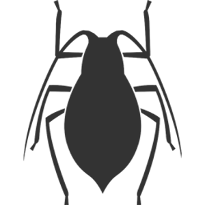 Stink Bugs.apk 1.0