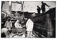 HD57 Elvira. Een rondviskotter aan de kade