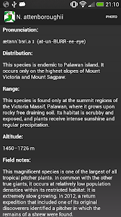 Nepy Screenshots 2