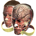 Evolutionary Anatomy icon