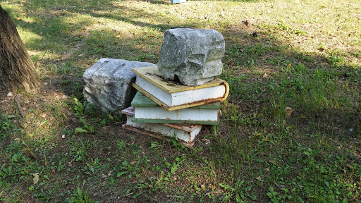 Rocks and Books