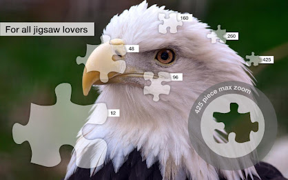 Bold Birds Jigsaw Puzzles Demo poster 6