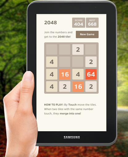 2048 Safari