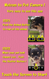 Pet Camera    for dogs & cats poster 4
