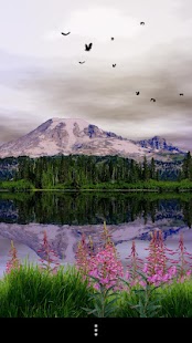 Mount Rainier Free Screenshots 2