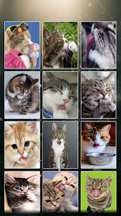 How to get Cat Licking Wallpaper patch 1.0 apk for laptop